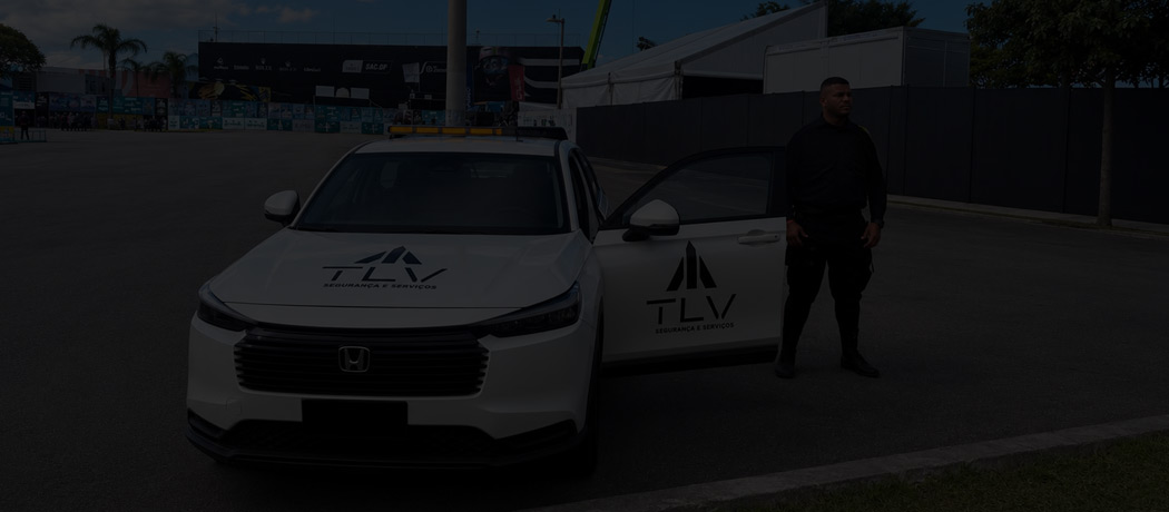Estrutura operacional do Grupo TLV